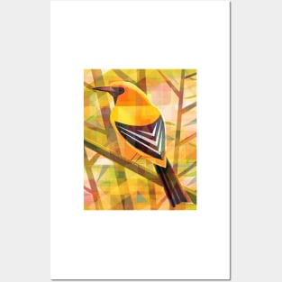 Yellow Oriole Posters and Art